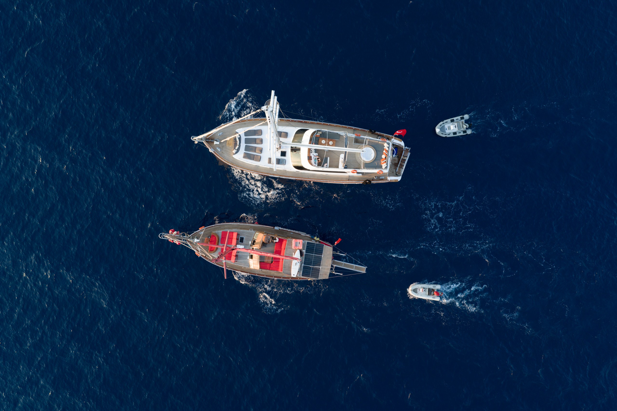 Blue Voyage galeri