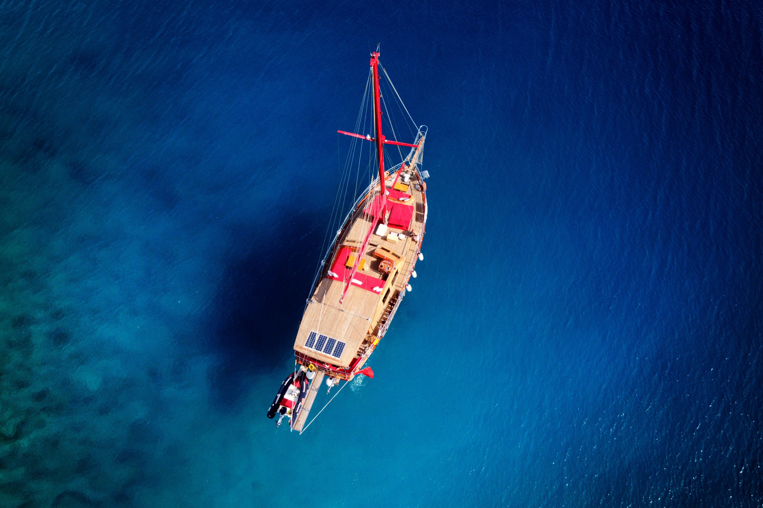 Blue Voyage galeri