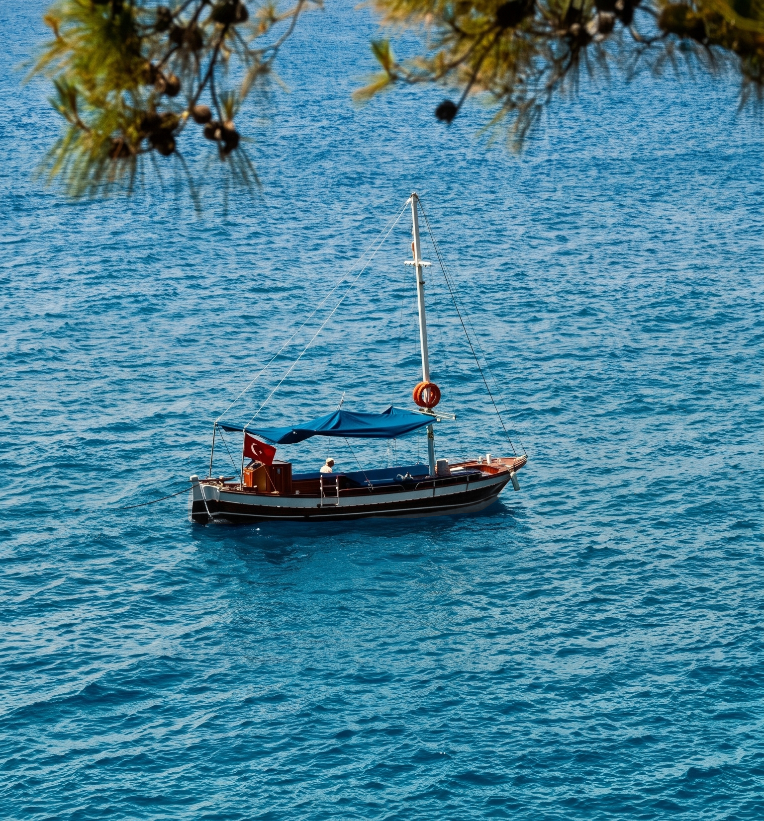 Ein Holzboot liegt in einer stillen Bucht unterhalb der Pinien vor Anker