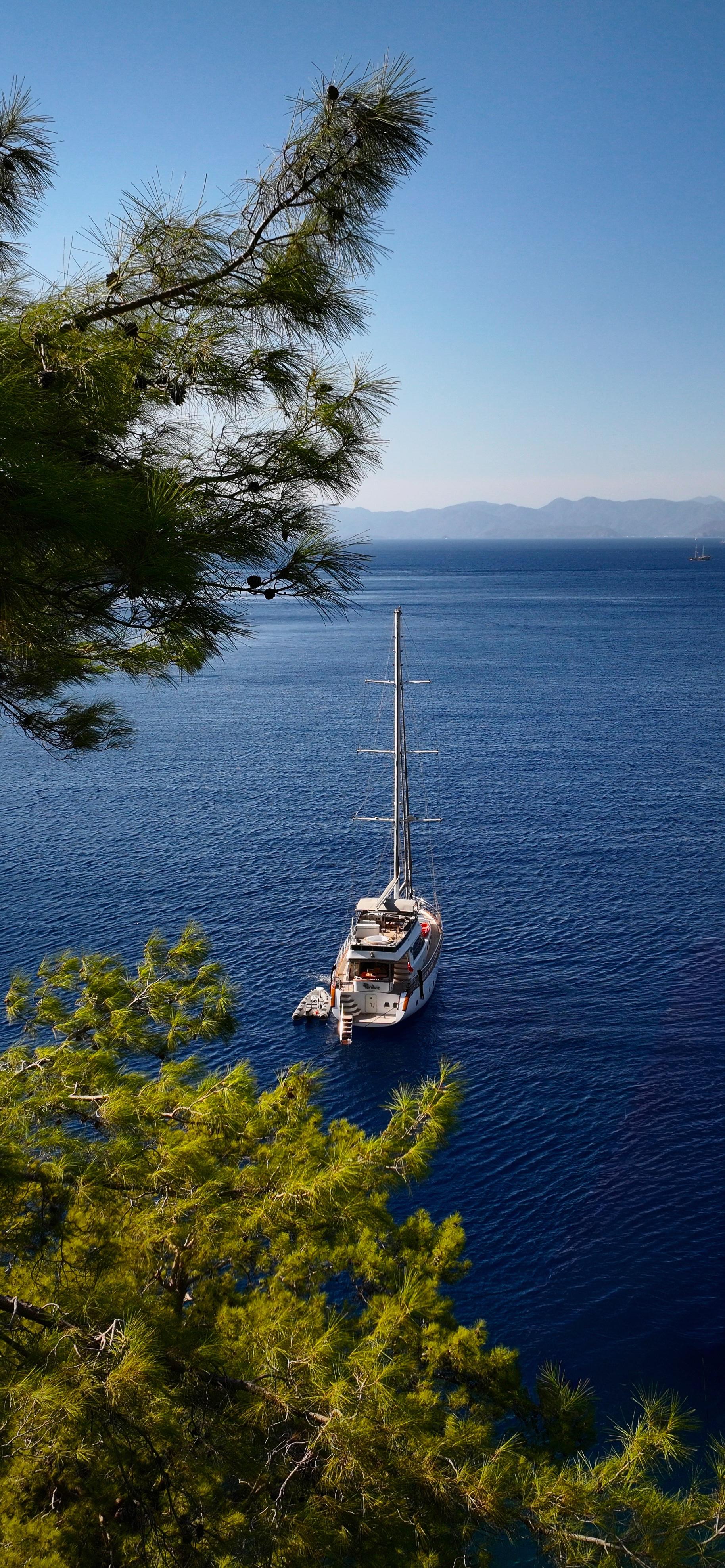 Perdue Yacht: immagine 1