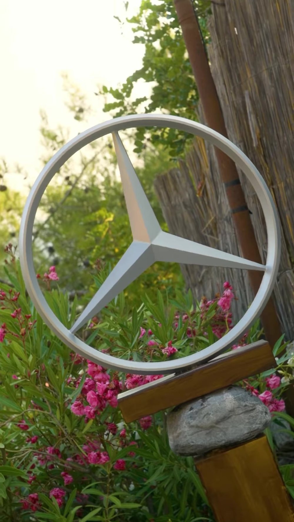 The star among oleanders in the garden