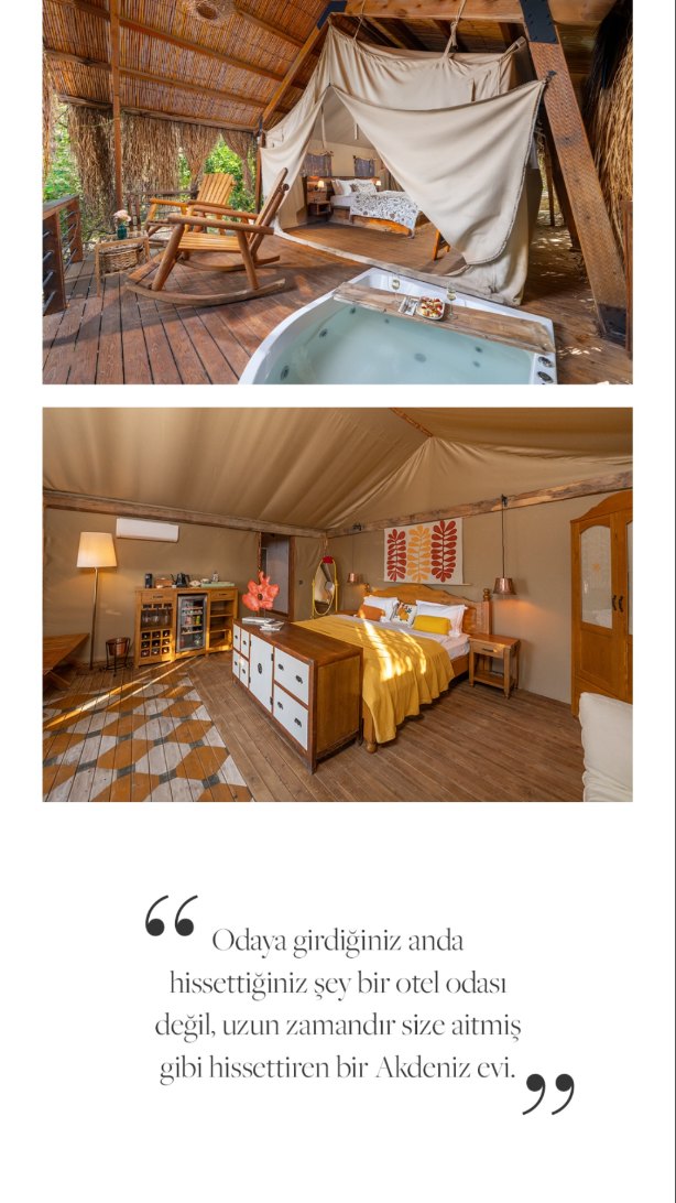 InStyle Home on Perdue
